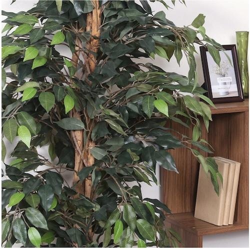 sfՁ@ϗtA@tBJX@PPQS@`