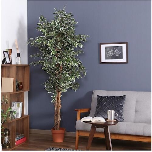 sfՁ@ϗtA@tBJX@PPQS@a