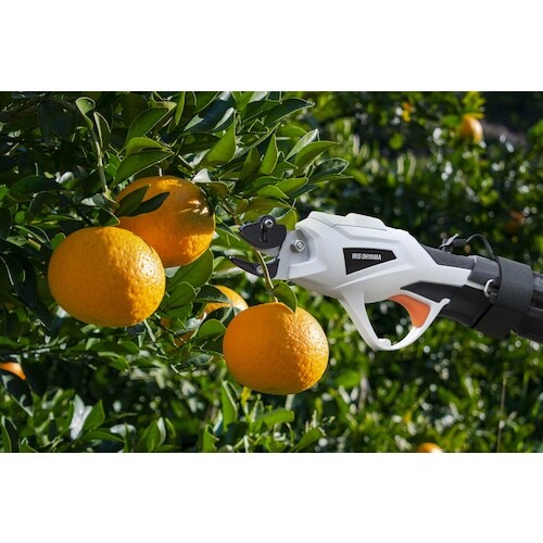 hqhr@TPWTVV@[d}nT~@RD