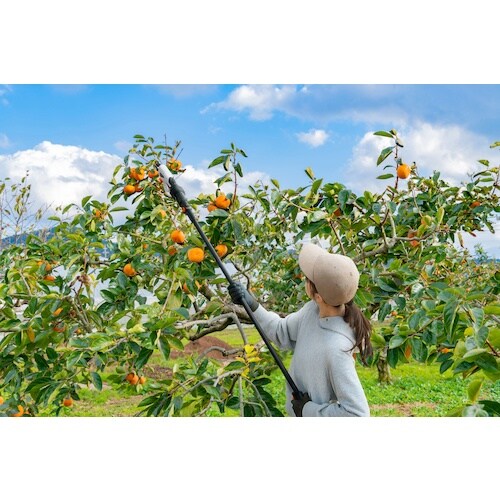 hqhr@TPWTVV@[d}nT~@RD