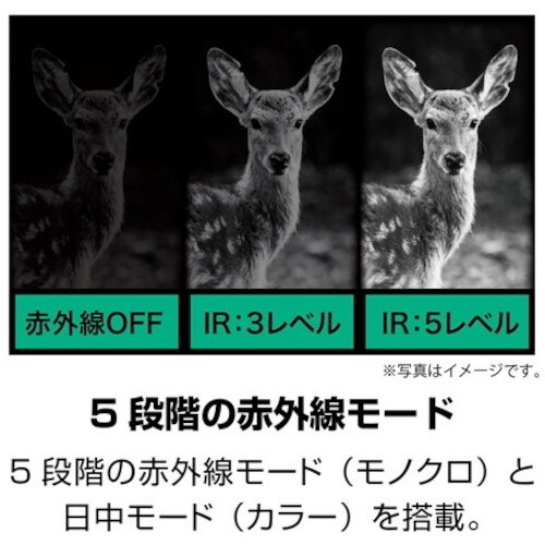 j@ÎXR[vhqiCgR[_[@jb