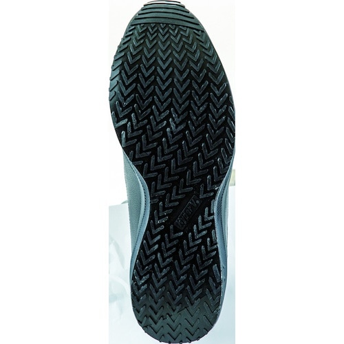 i@ϊcȂXj[J[@nCp[u@OOU