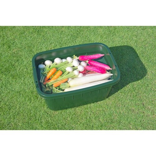 snman@yU^Q[W^QXLy[zp