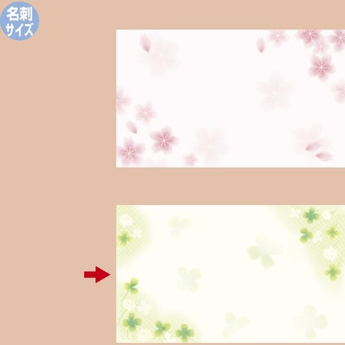 TTK@ono@V[J[h@hTCY@