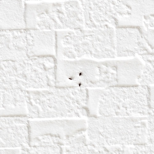 I[NX@|@X^h@N[i[Ǖtz_[