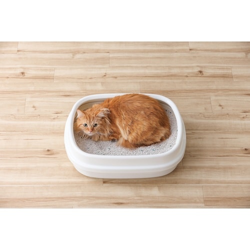 hqhr@QXVUXS@N[Th@Tk@{^