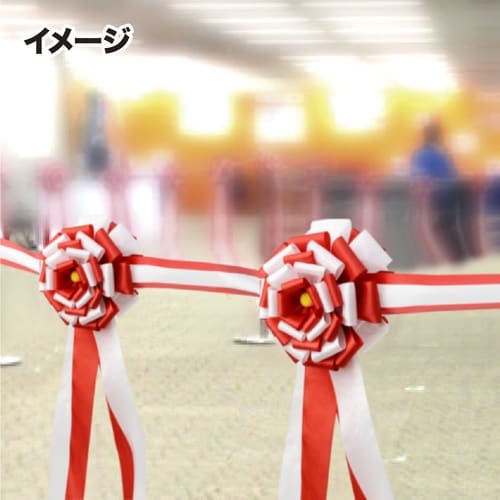 TTK@e[vJbgpԌ^{@ԌaPUO