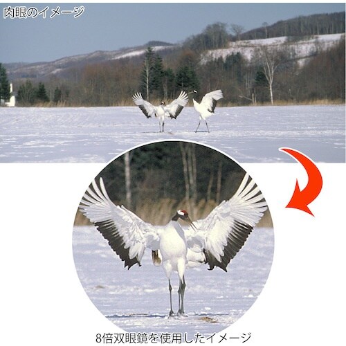 rcY@oዾ@RpNg@W{@QP@W