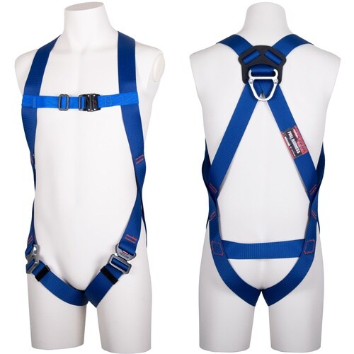 srtxnqnm@Cgn[lX@n[lX{̂̂