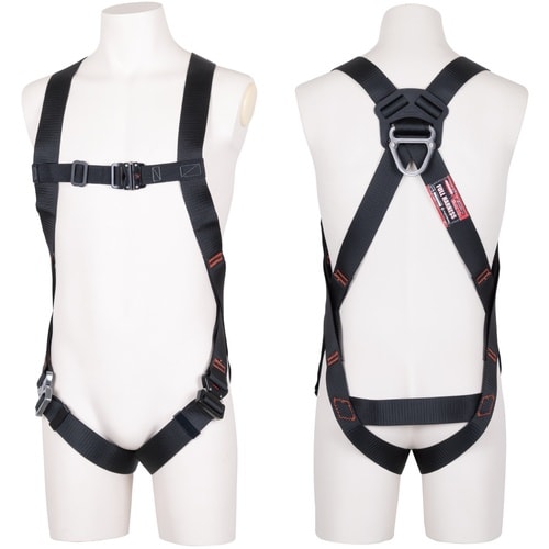 srtxnqnm@Cgn[lX@n[lX{̂̂