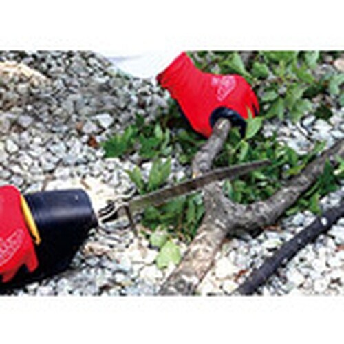 [bg\[@Vv}؂pQPO@oRDO@֐n