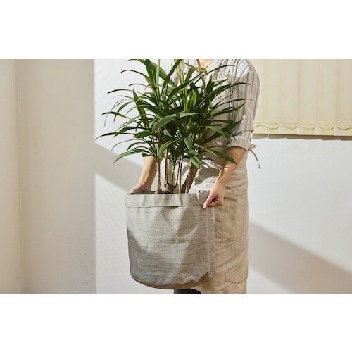 hqhr@POUSTS@eLX^Cv^[@R