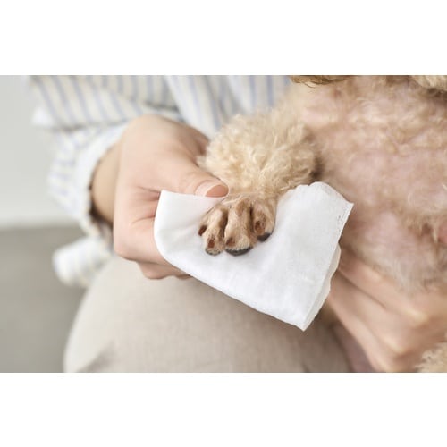 hqhr@QOQOSO@ybgpEFbgeBbV