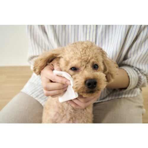 hqhr@QOQOSR@ybgp{fB^IPo