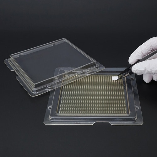 dwrd`k@Qx[XV[g@tbgeR@TO