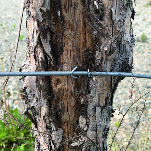 c`hcng`ms@@B@iaFjPDVi