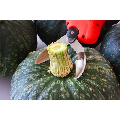 jVKL@J{`͂݁iobe[obe[E[