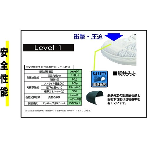 ӂ@vv@lnud@f`ll`@[Jbg@