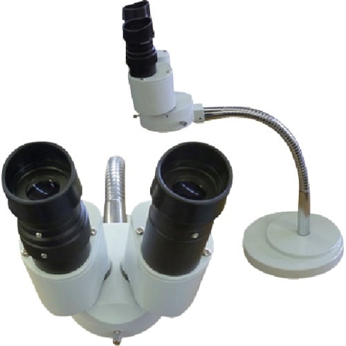 ASt@C@fdWOOOO[gACǒ