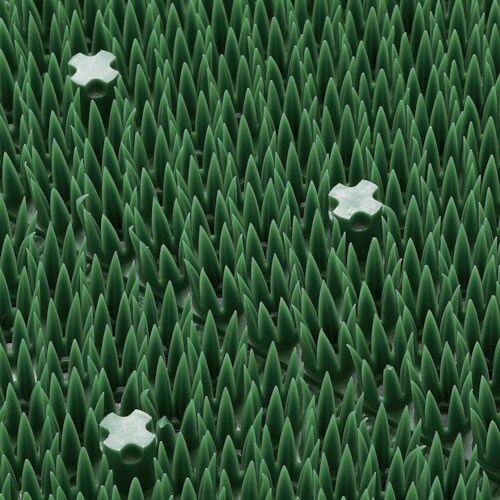 Rh@GobN@ʒJbgi@Op}bg@n