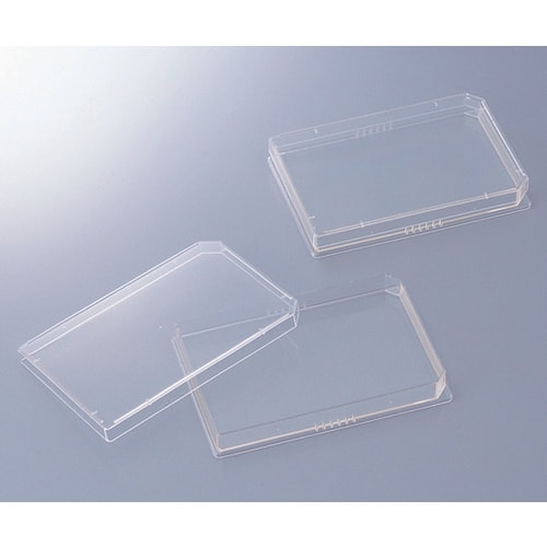 `r@}CNv[g^V[rOPeOSr@T