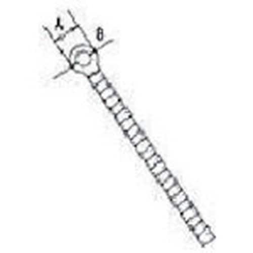 {@XeX@̂݊ۃJ{g@Pqal|W