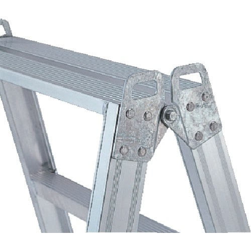 ACR@ݍHƉFrTځiVPDT