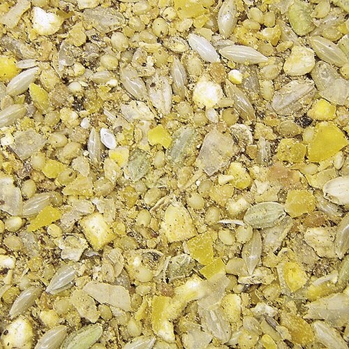 エクセルホオジロのエサあら餌