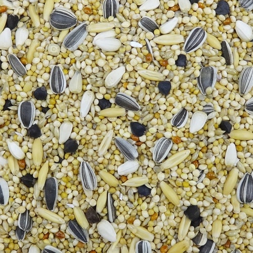 �G�N�Z���T�@���^�C���R�@��t��