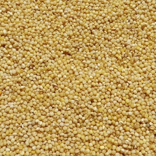 �i�`�������Z���N�g�@�����