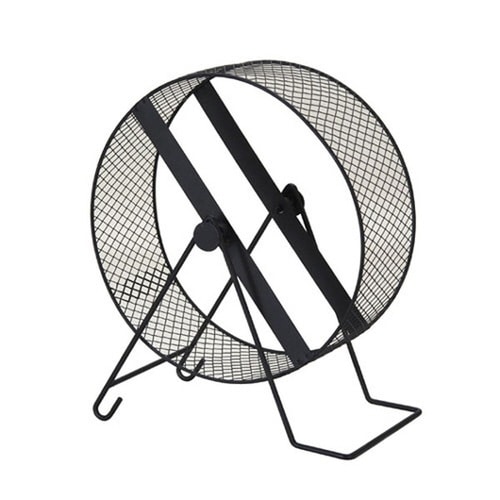 ���^���T�C�����g