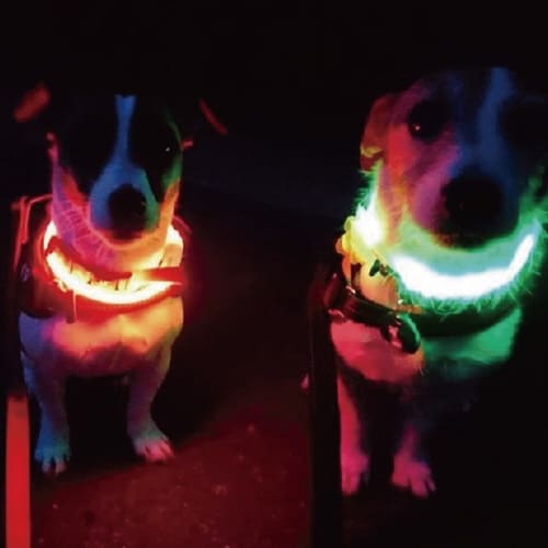 �Z�[�t�e�B�J���[