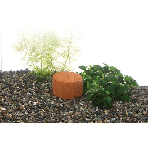 �[�I���C�g�u���b�N�r