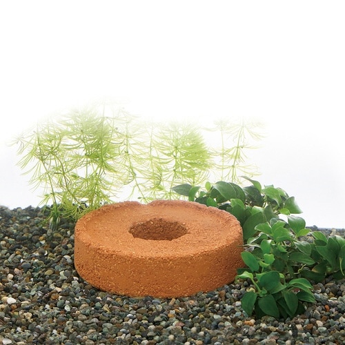 �[�I�����O