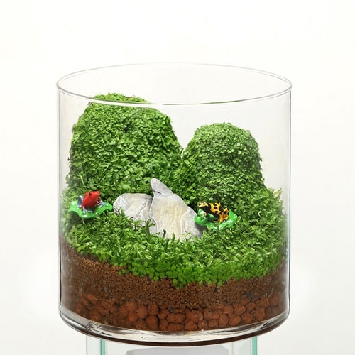 قƂ肦~j`AsbNlo|PVhN