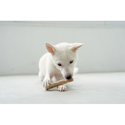 osorQPV@EbfB[E^tEXeB