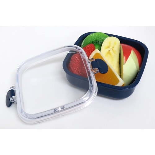 ٓ@Pi@fU[gP[X@Rہ@QTO