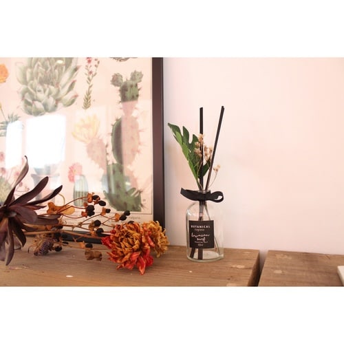 fBt[U[@XeBbN@ԁ@nCAT[t