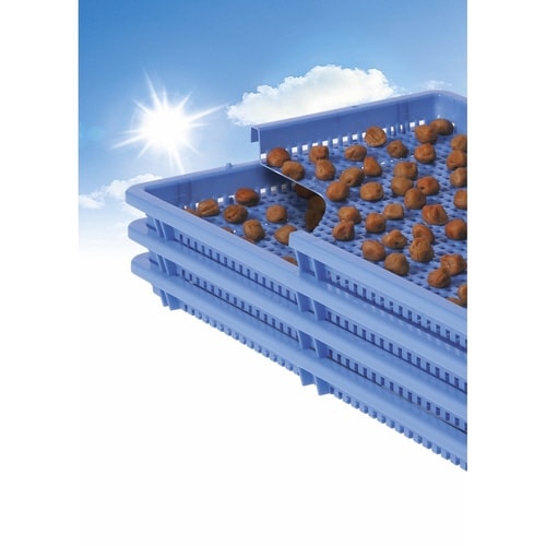 ChoXPbg@n[t@TODT~RWDT