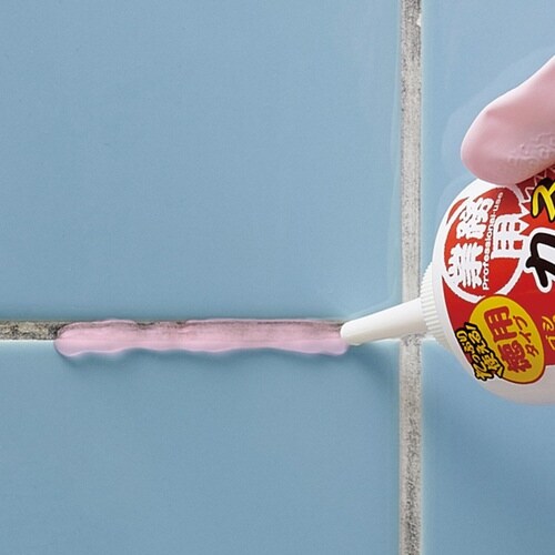 Jr܁@PUO@ƖpXJbƃJrWF