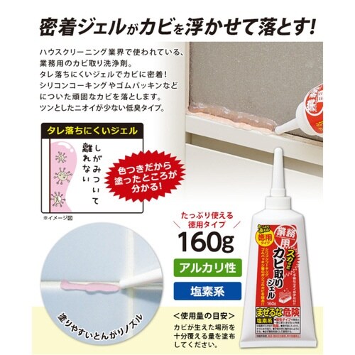 Jr܁@PUO@ƖpXJbƃJrWF