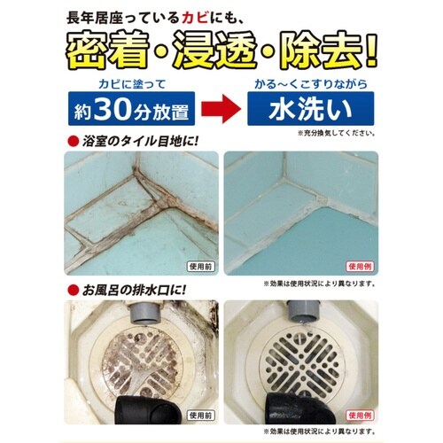 Jr܁@PUO@ƖpXJbƃJrWF