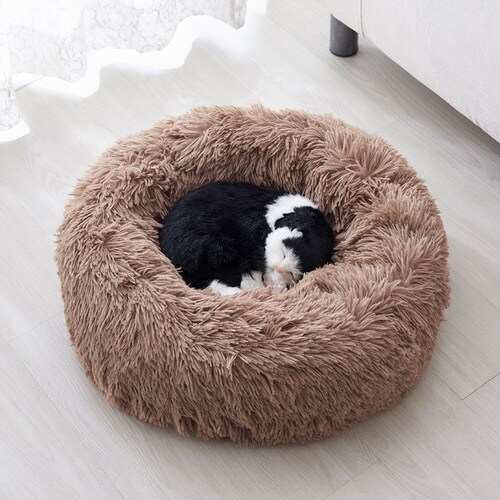 ybgxbg@ӂӂxbh@ybgp@x[W