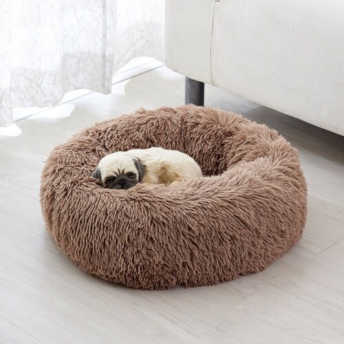 ybgxbg@ӂӂxbh@ybgp@x[W