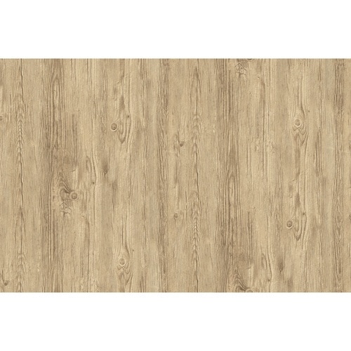 CV[g@ؘgCV[g@ؖځ@x[W