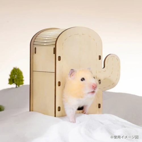 P[W@nX^[@~It@@chxnEX