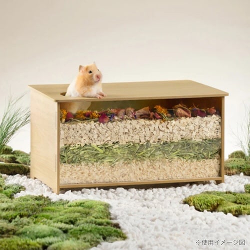 P[W@nX^[@~It@@chxnEX