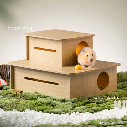 P[W@nX^[@~It@@chxnEX