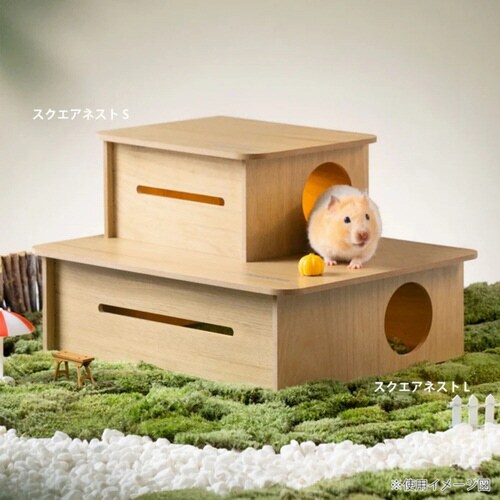 P[W@nX^[@~It@@chxnEX