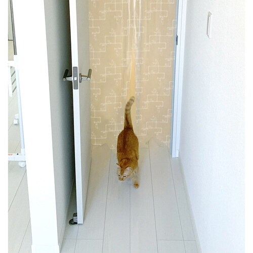 Ԏd؂@̂@ybgp@C@Ւfۉ@lR